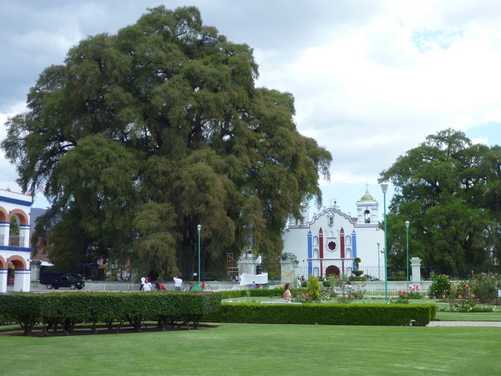 P1000699
